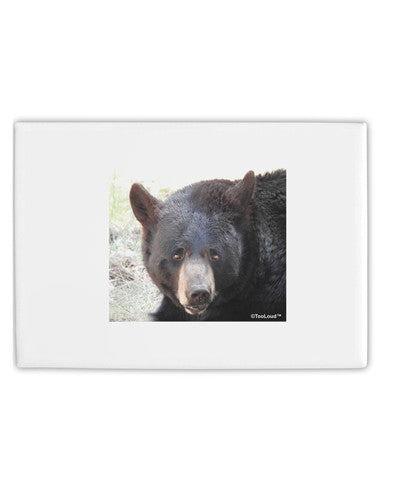 Staring Black Bear Fridge Magnet 2&#x22;x3&#x22; Landscape-Fridge Magnet-TooLoud-White-Davson Sales