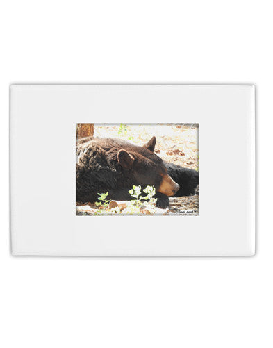 Laying Black Bear Fridge Magnet 2&#x22;x3&#x22; Landscape-Fridge Magnet-TooLoud-White-Davson Sales