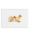 Cute Chicks Fridge Magnet 2&#x22;x3&#x22; Landscape-Fridge Magnet-TooLoud-White-Davson Sales