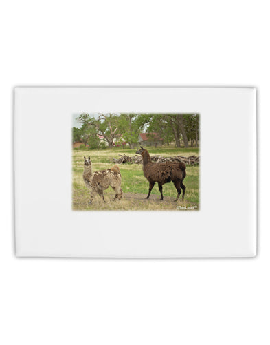 Standing Llamas Fridge Magnet 2&#x22;x3&#x22; Landscape by TooLoud-Fridge Magnet-TooLoud-White-Davson Sales