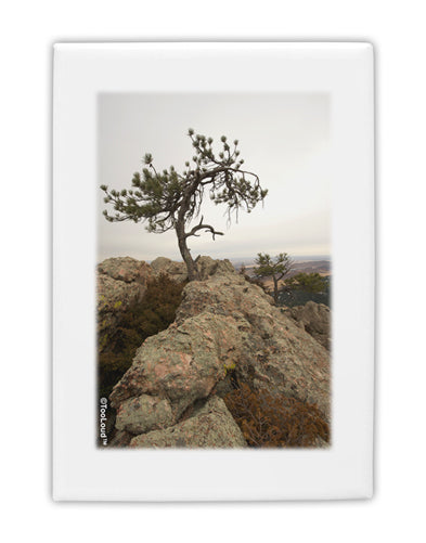 Stone Tree Colorado Fridge Magnet 2&#x22;x3&#x22; Portrait by TooLoud-Fridge Magnet-TooLoud-White-Davson Sales