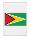 TooLoud Guyana Flag Fridge Magnet 2 Inchx3 Inch Portrait-Fridge Magnet-TooLoud-Davson Sales