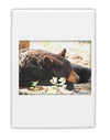 Laying Black Bear Fridge Magnet 2&#x22;x3&#x22; Portrait-Fridge Magnet-TooLoud-White-Davson Sales