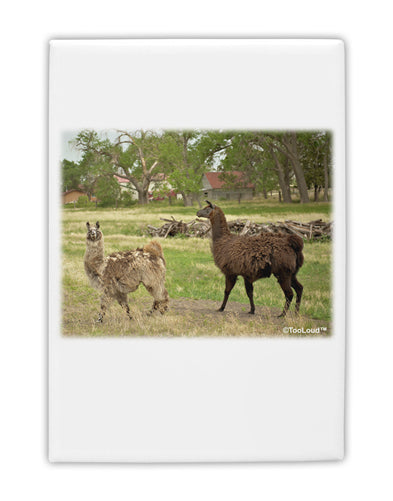 Standing Llamas Fridge Magnet 2&#x22;x3&#x22; Portrait by TooLoud-Fridge Magnet-TooLoud-White-Davson Sales