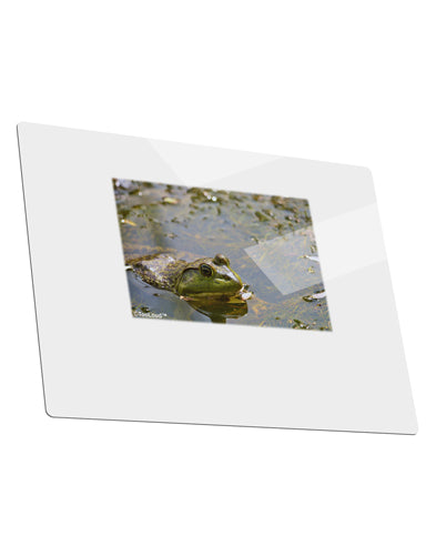 Bullfrog In Water Metal Panel Wall Art Landscape - Choose Size by TooLoud-TooLoud-14x11"-Davson Sales