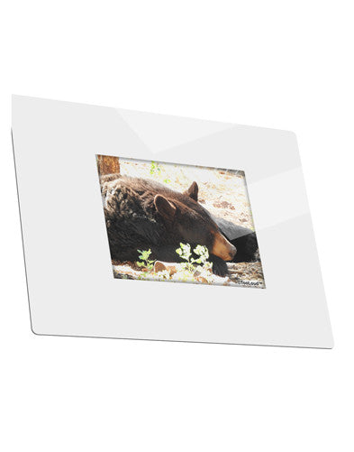 Laying Black Bear Metal Panel Wall Art Landscape - Choose Size-TooLoud-14x11"-Davson Sales