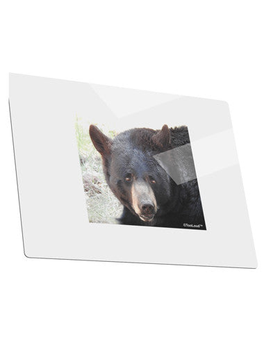 Staring Black Bear Metal Panel Wall Art Landscape - Choose Size-TooLoud-14x11"-Davson Sales