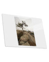 Stone Tree Colorado Metal Panel Wall Art Landscape - Choose Size by TooLoud-TooLoud-14x11"-Davson Sales