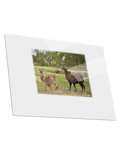 Standing Llamas Metal Panel Wall Art Landscape - Choose Size by TooLoud-TooLoud-14x11"-Davson Sales