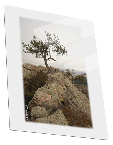 Stone Tree Colorado Metal Panel Wall Art Portrait - Choose Size by TooLoud-TooLoud-11x14"-Davson Sales