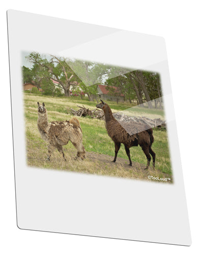 Standing Llamas Metal Panel Wall Art Portrait - Choose Size by TooLoud-TooLoud-11x14"-Davson Sales