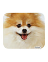 Adorable Pomeranian 1 Mousepad All Over Print-TooLoud-White-Davson Sales