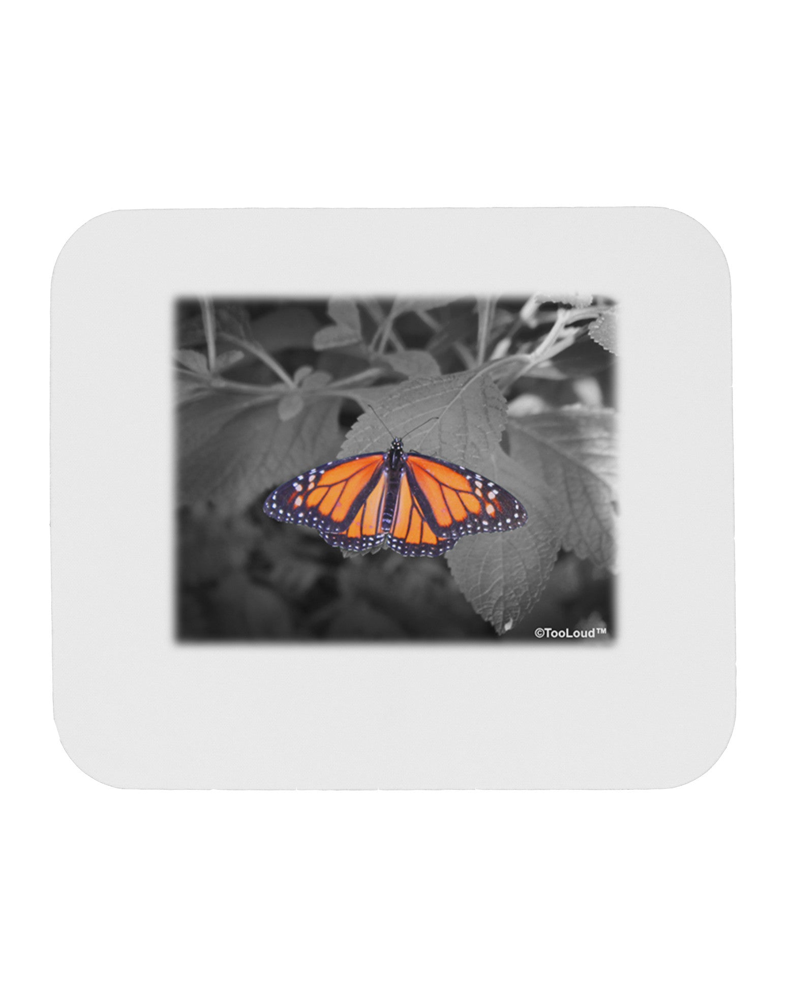 Monarch Butterfly Photo Mousepad-TooLoud-White-Davson Sales