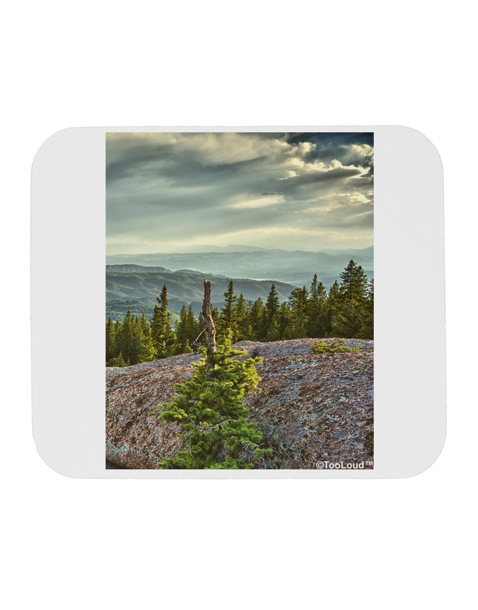 Nature Photography - Pine Kingdom Mousepad by TooLoud-TooLoud-White-Davson Sales