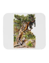 Bristlecone Pines Mousepad-TooLoud-White-Davson Sales