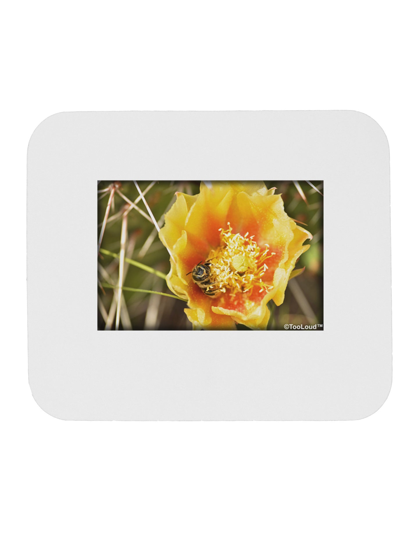 Bee Cactus Mousepad-TooLoud-White-Davson Sales
