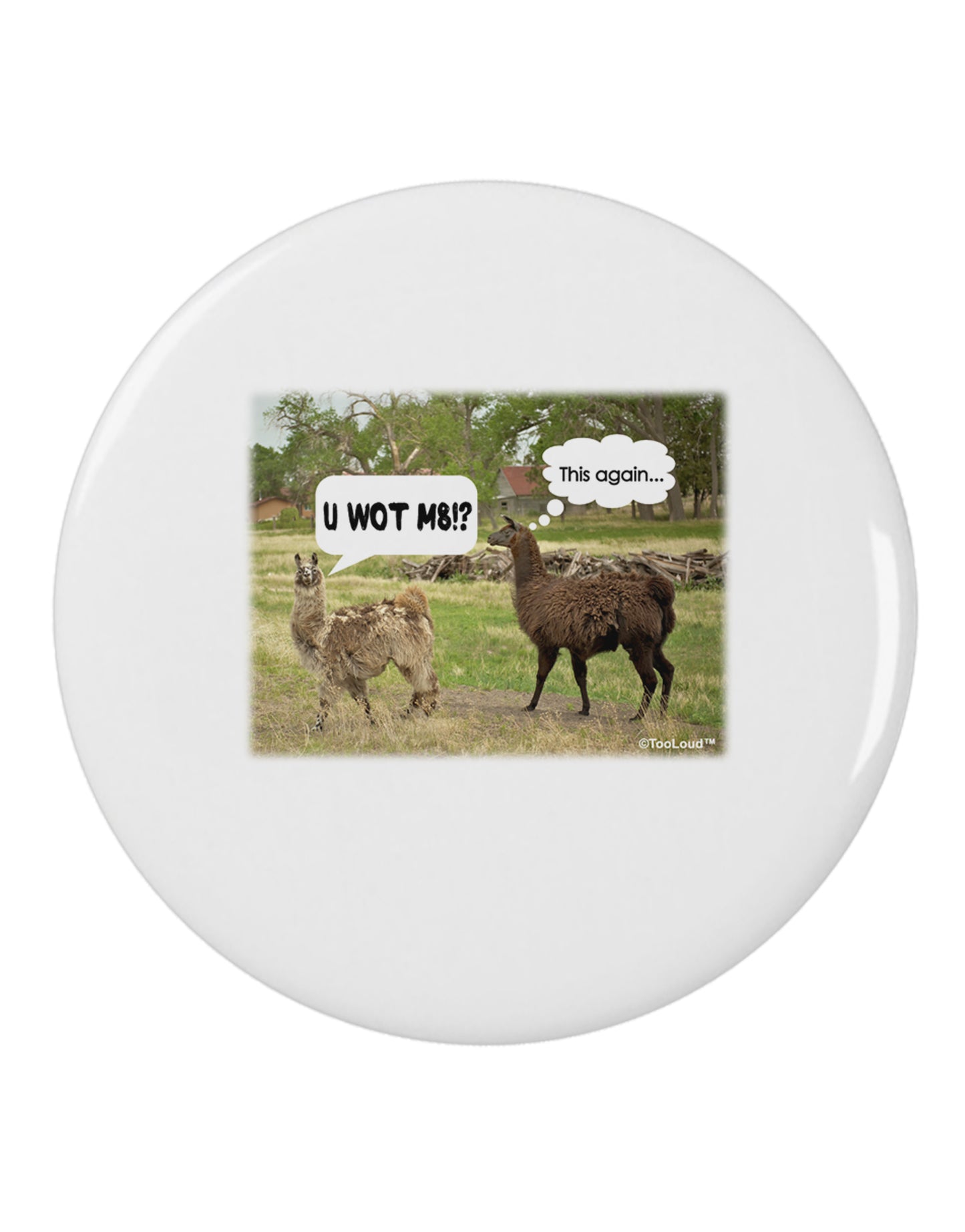 Angry Standing Llamas 2.25&#x22; Round Pin Button by TooLoud-Round Pin Button-TooLoud-White-2.25in-Davson Sales