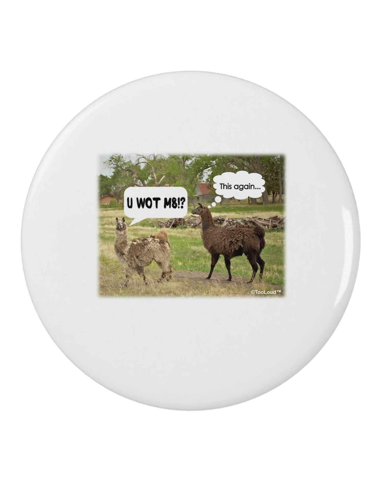 Angry Standing Llamas 2.25&#x22; Round Pin Button by TooLoud-Round Pin Button-TooLoud-White-2.25in-Davson Sales