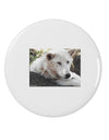 Laying White Wolf 2.25&#x22; Round Pin Button-Round Pin Button-TooLoud-White-2.25in-Davson Sales