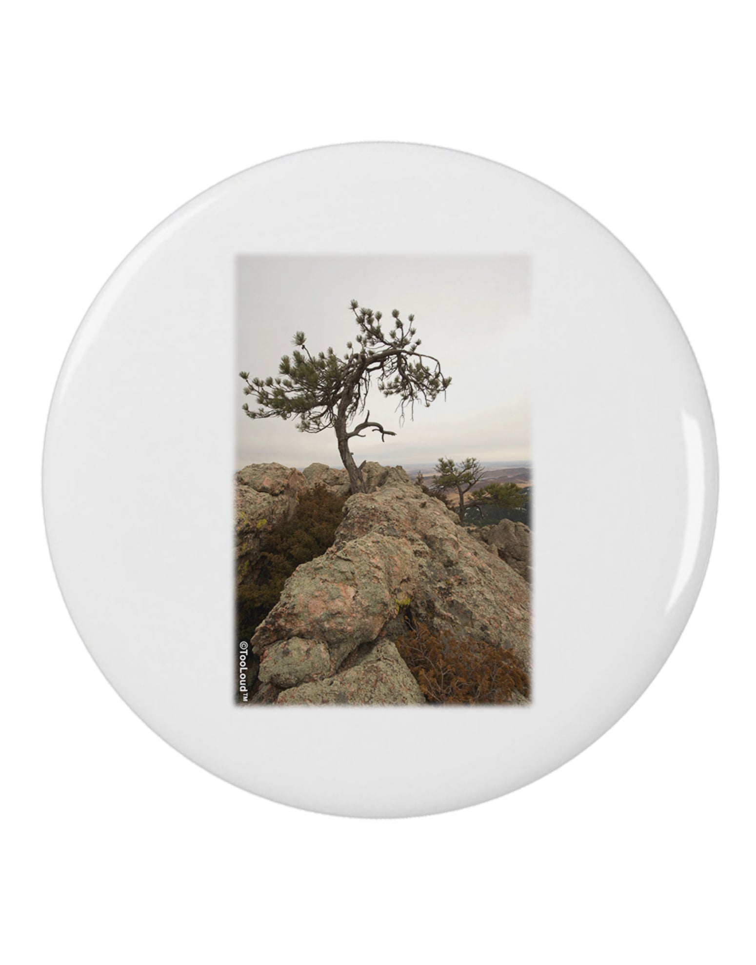 Stone Tree Colorado 2.25&#x22; Round Pin Button by TooLoud-Round Pin Button-TooLoud-White-2.25in-Davson Sales