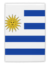 Uruguay Flag AOP Fridge Magnet 2"x3" All Over Print-Fridge Magnet-TooLoud-Davson Sales