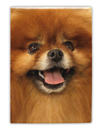 Adorable Red Pomeranian Fridge Magnet 2&#x22;x3&#x22; All Over Print-Fridge Magnet-TooLoud-White-Davson Sales