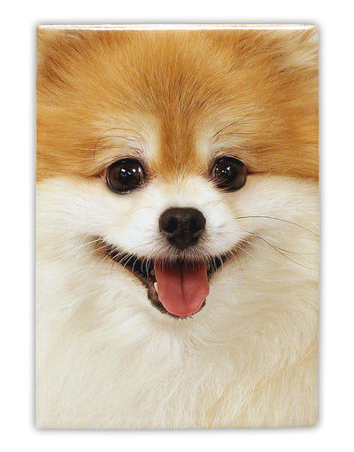 Adorable Pomeranian 1 Fridge Magnet 2&#x22;x3&#x22; All Over Print-Fridge Magnet-TooLoud-White-Davson Sales