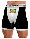 Two Bighorn Rams Watercolor Mens NDS Wear Boxer Brief Underwear-Boxer Briefs-NDS Wear-Black-with-White-Small-Davson Sales