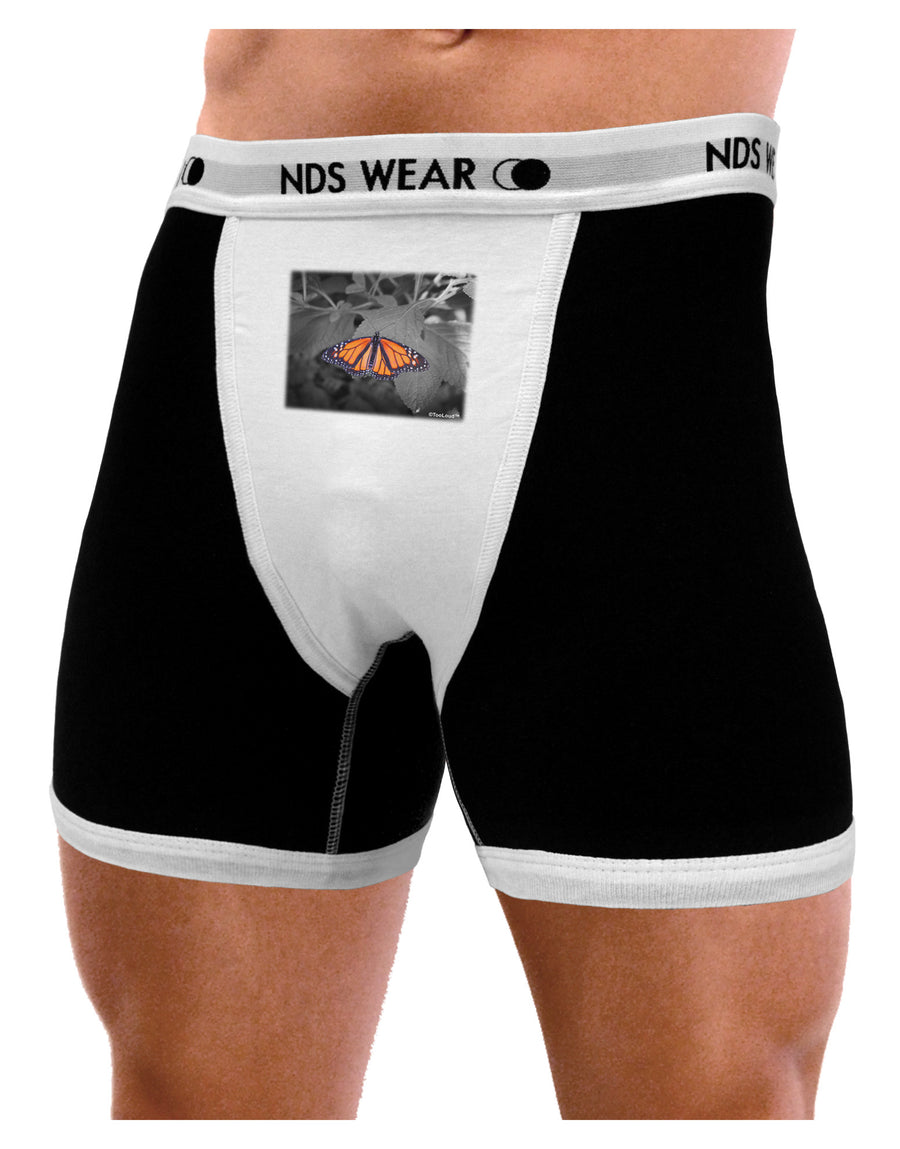 Monarch Butterfly Photo Mens NDS Wear Boxer Brief Underwear-Boxer Briefs-NDS Wear-Black-with-White-Small-Davson Sales