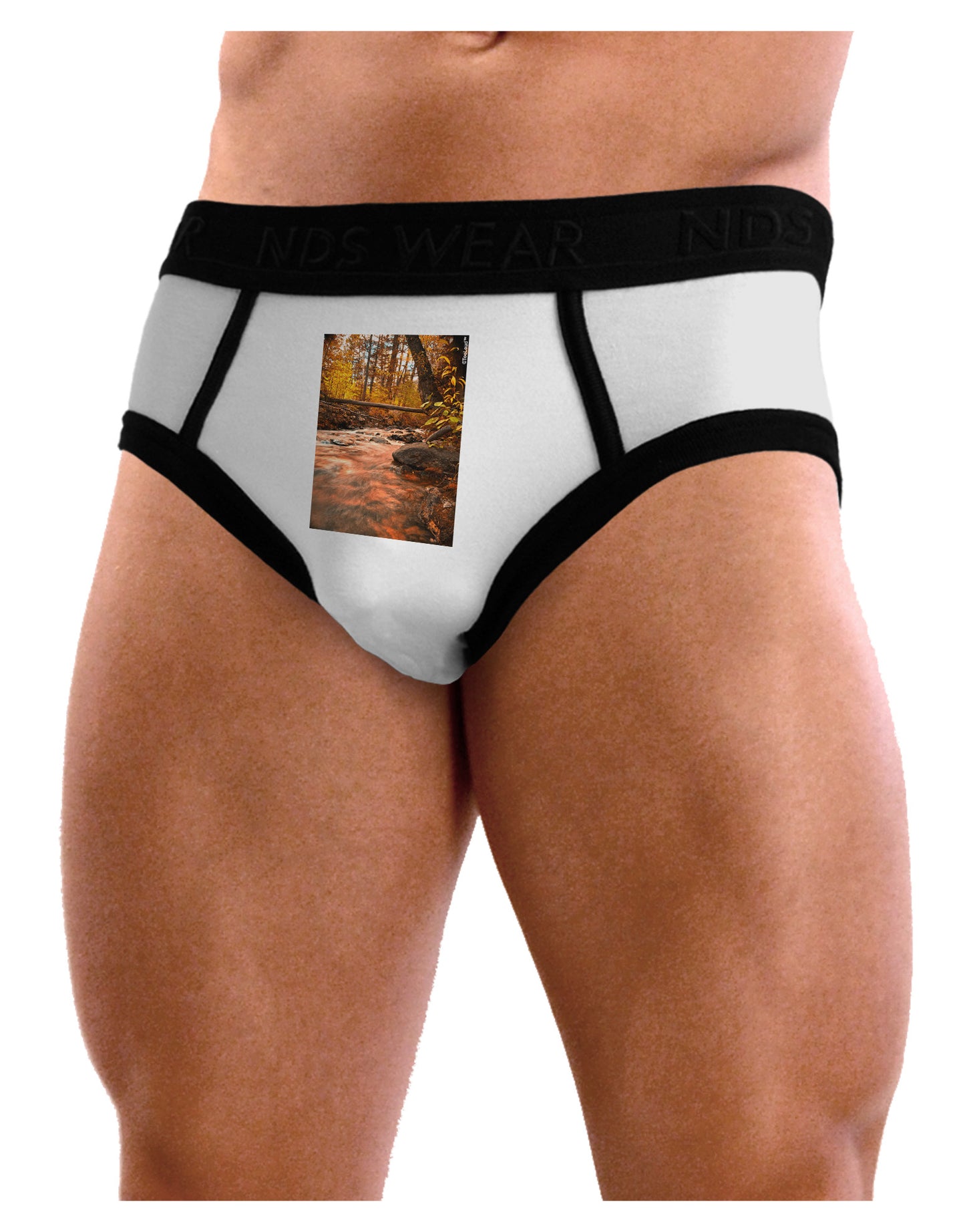 Mt Shavano Colorado Mens NDS Wear Briefs Underwear-Mens Briefs-NDS Wear-White-Small-Davson Sales