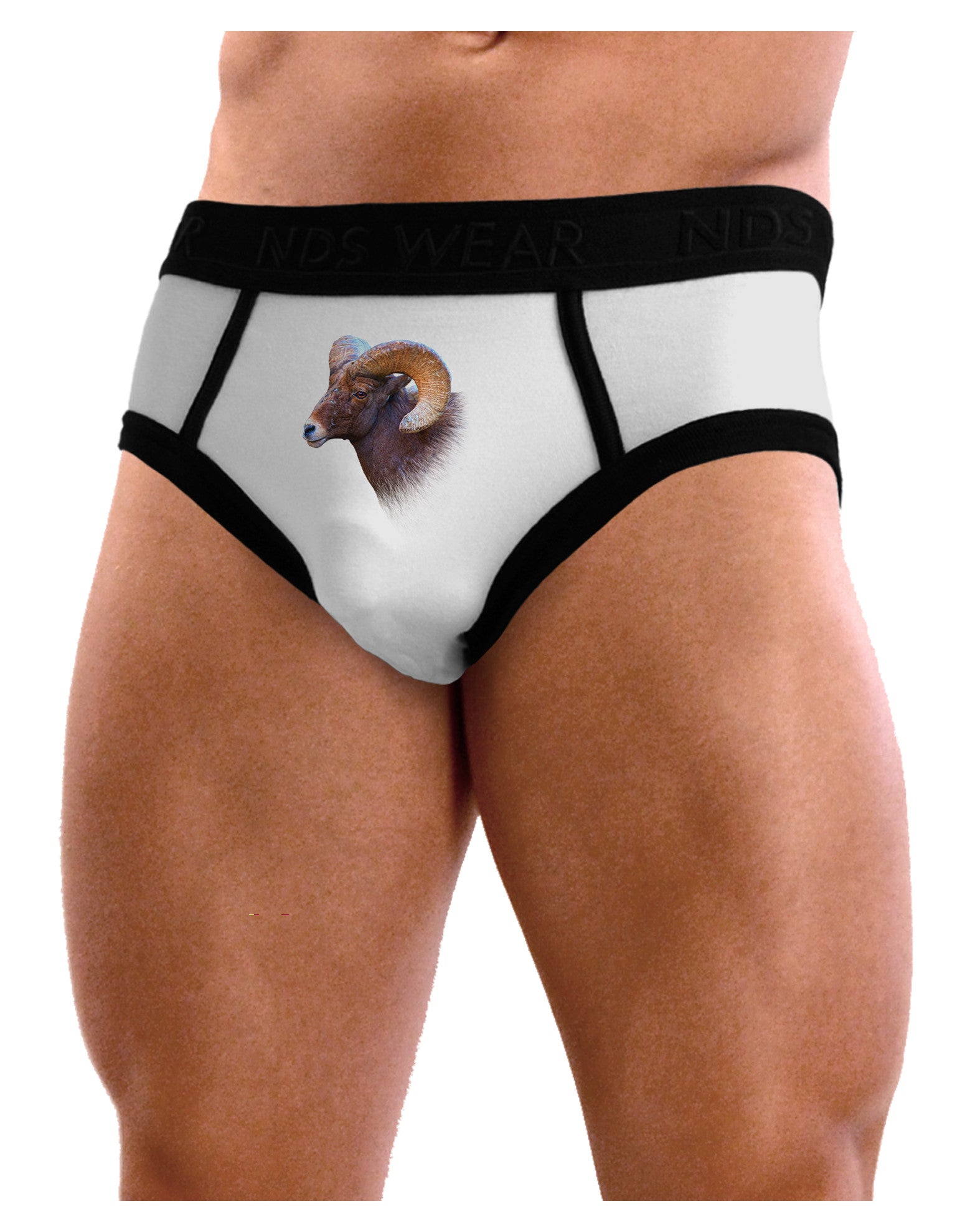 Majestic Bighorn Ram Mens NDS Wear Briefs Underwear-Mens Briefs-NDS Wear-White-Small-Davson Sales