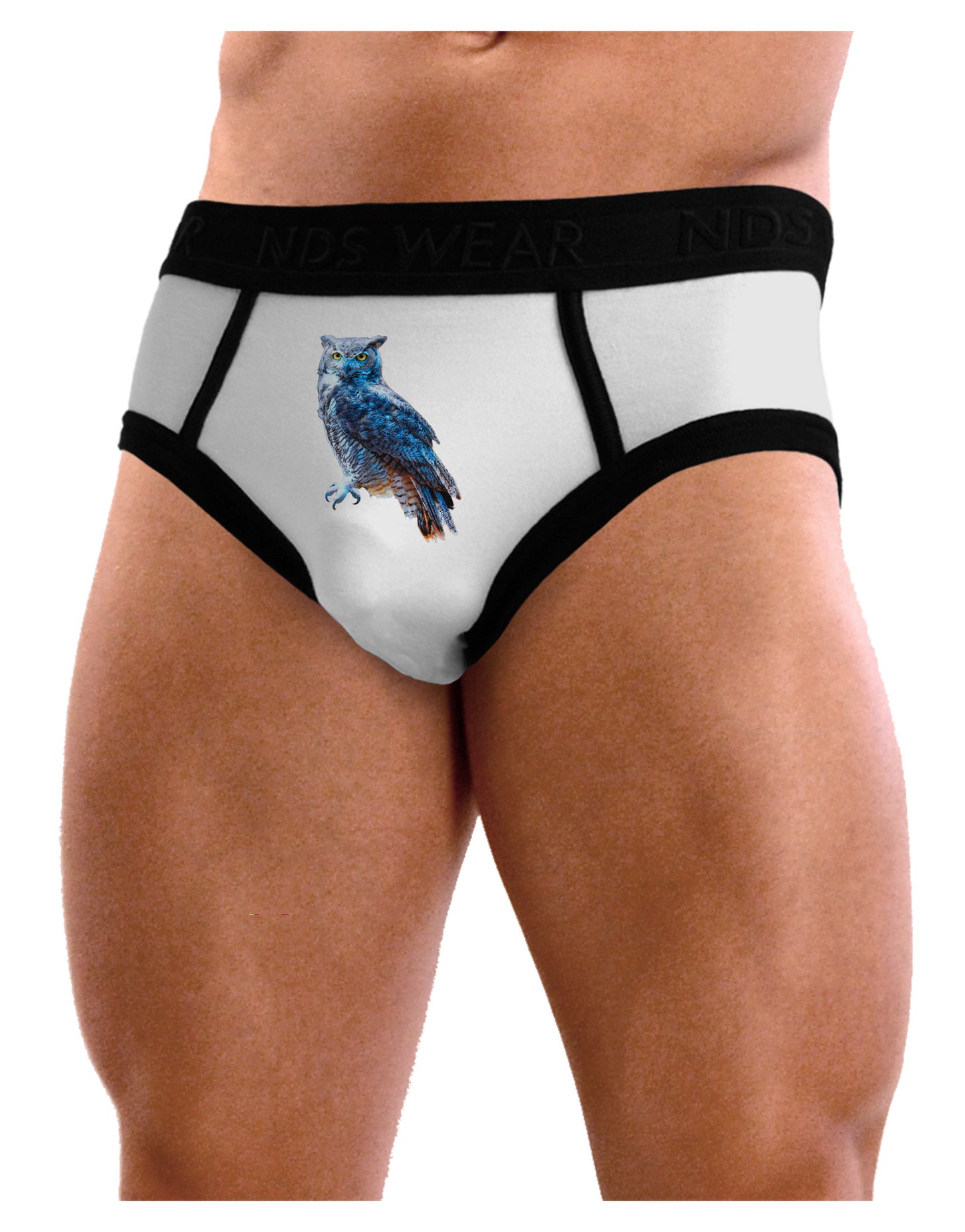 Colorful Great Horned Owl Mens NDS Wear Briefs Underwear-Mens Briefs-NDS Wear-White-Small-Davson Sales