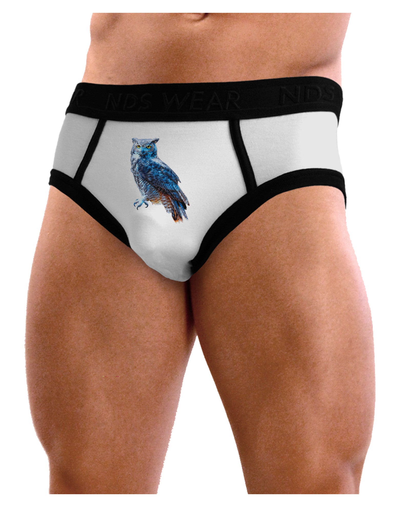 Colorful Great Horned Owl Mens NDS Wear Briefs Underwear-Mens Briefs-NDS Wear-White-Small-Davson Sales