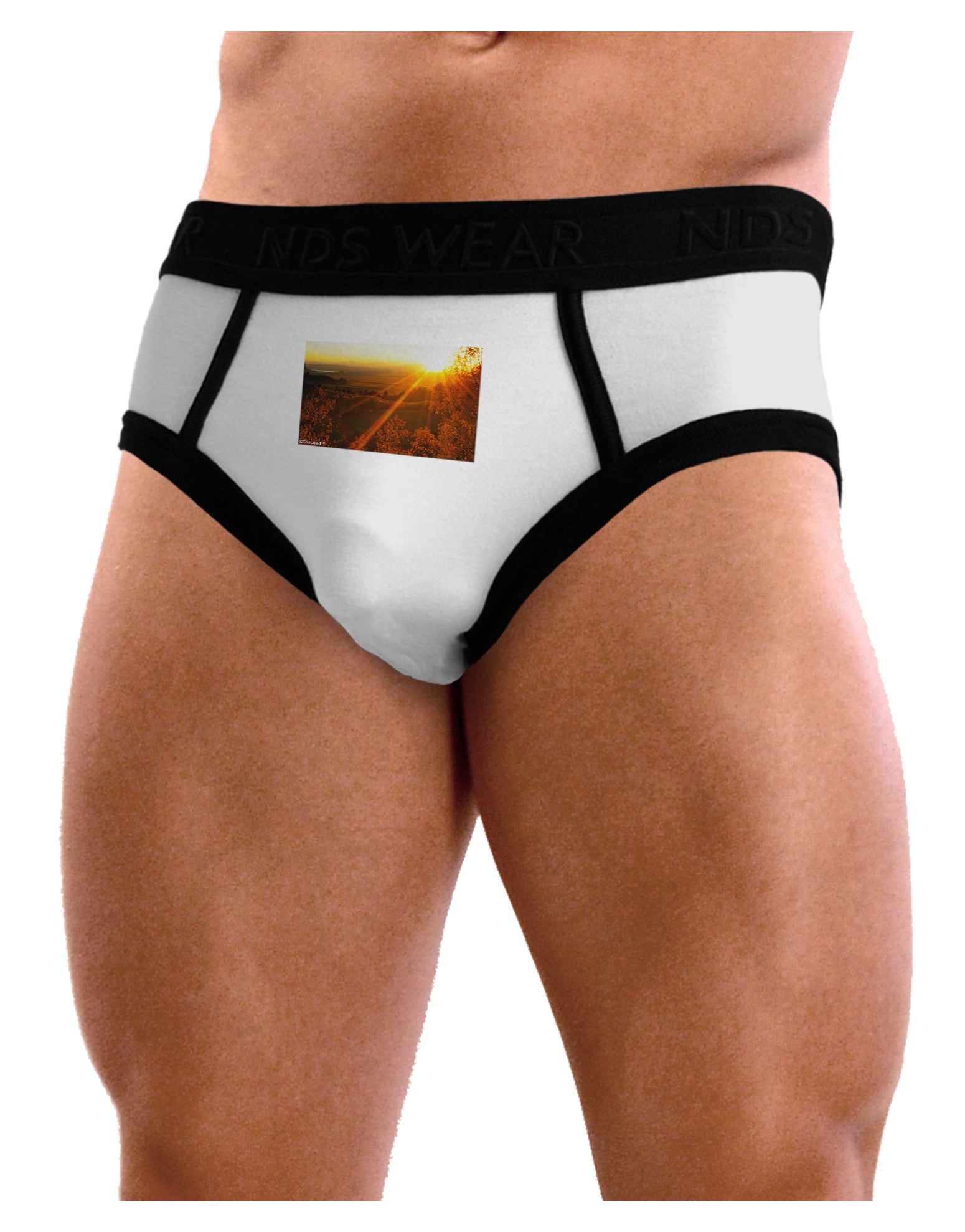 Colorado Sunset Mens NDS Wear Briefs Underwear-Mens Briefs-NDS Wear-White-Small-Davson Sales