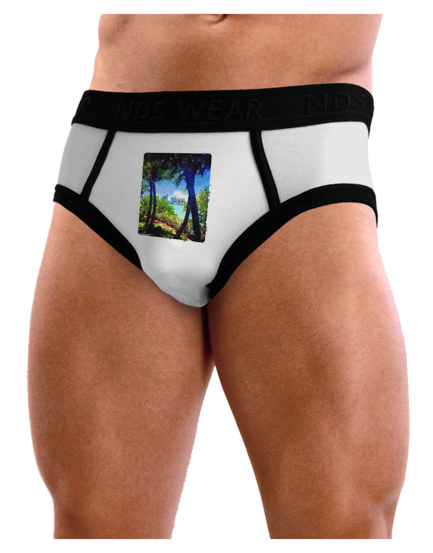 TooLoud Tropical Skyline Mens NDS Wear Briefs Underwear-Mens Briefs-NDS Wear-White-Small-Davson Sales