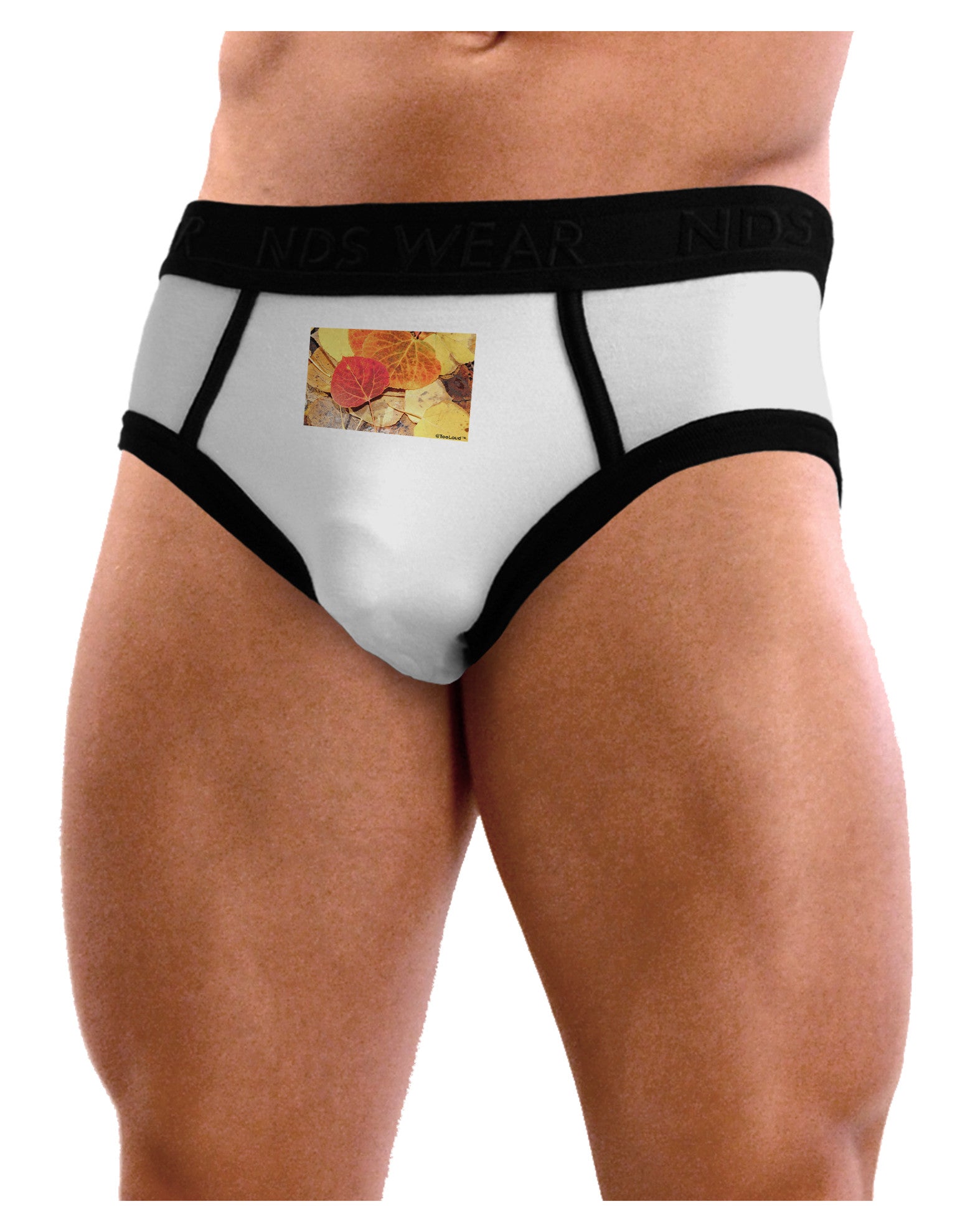 Colorado - Autumn Mens NDS Wear Briefs Underwear-Mens Briefs-NDS Wear-White-Small-Davson Sales