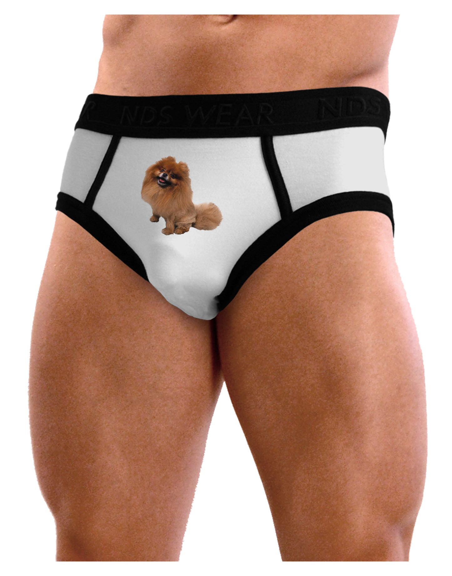 Pomeranian Sitting All Cute-Like Mens NDS Wear Briefs Underwear-Mens Briefs-NDS Wear-White-Small-Davson Sales