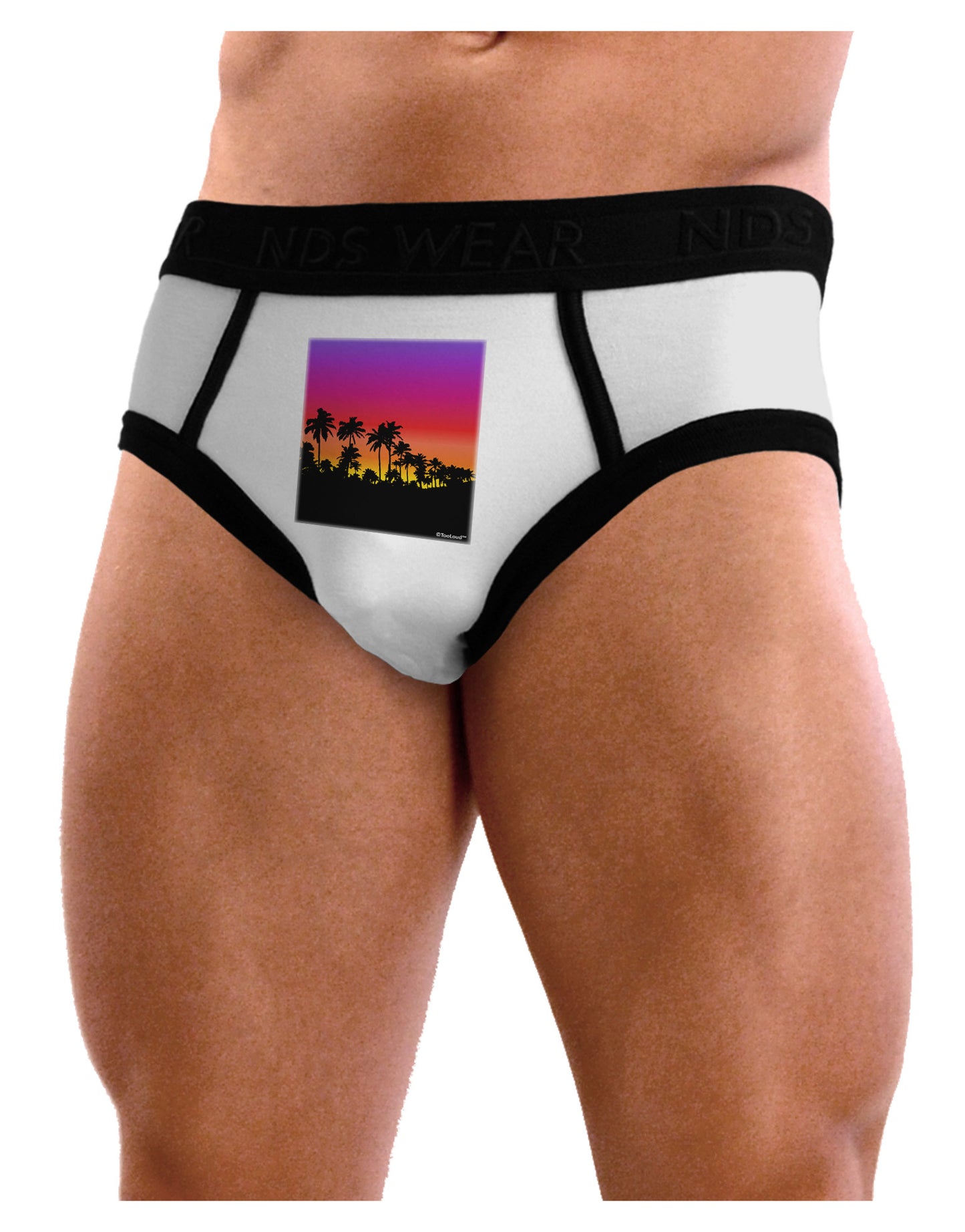 Palm Trees and Sunset Design Mens NDS Wear Briefs Underwear by TooLoud-Mens Briefs-TooLoud-White-Small-Davson Sales