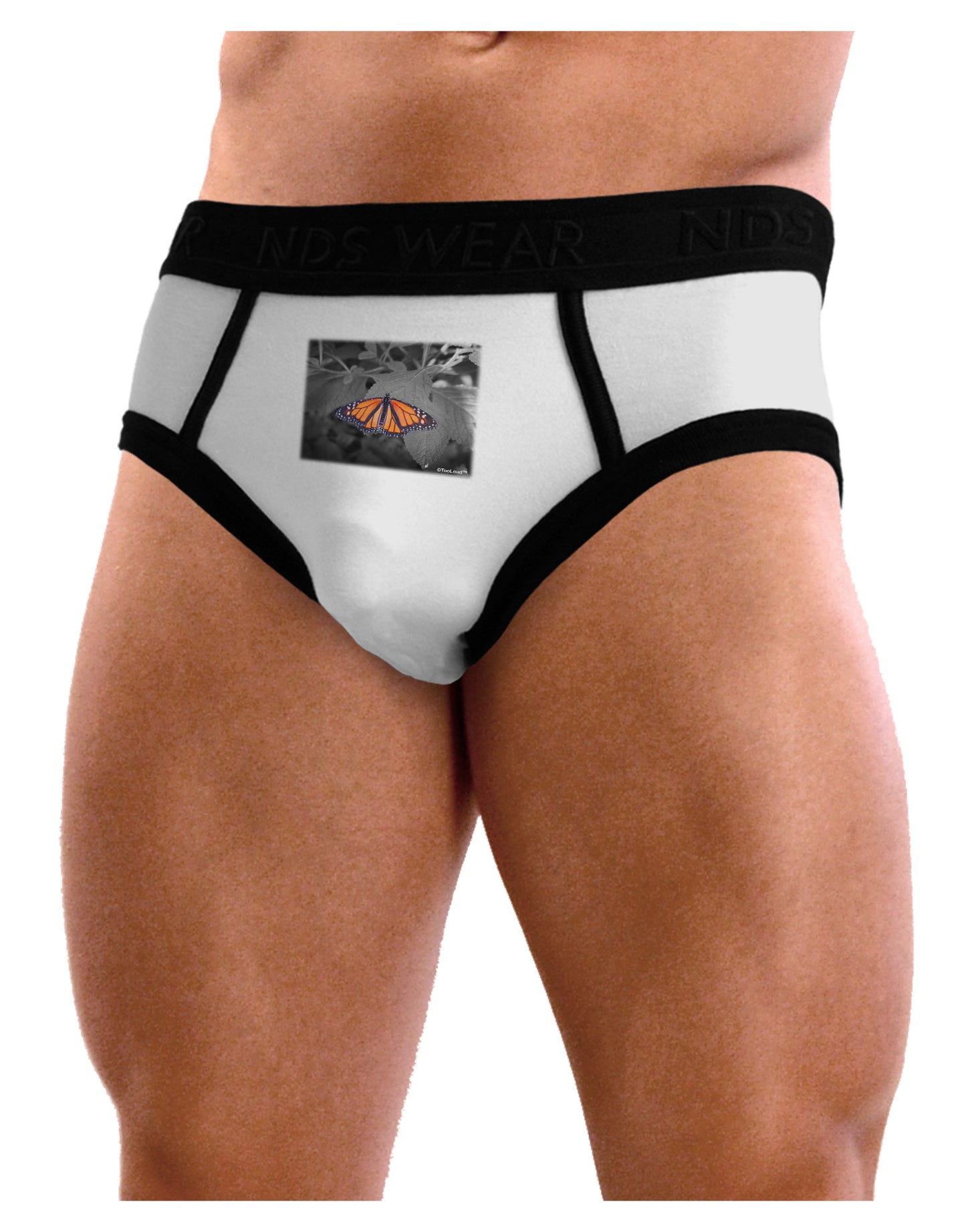 Monarch Butterfly Photo Mens NDS Wear Briefs Underwear-Mens Briefs-NDS Wear-White-Small-Davson Sales