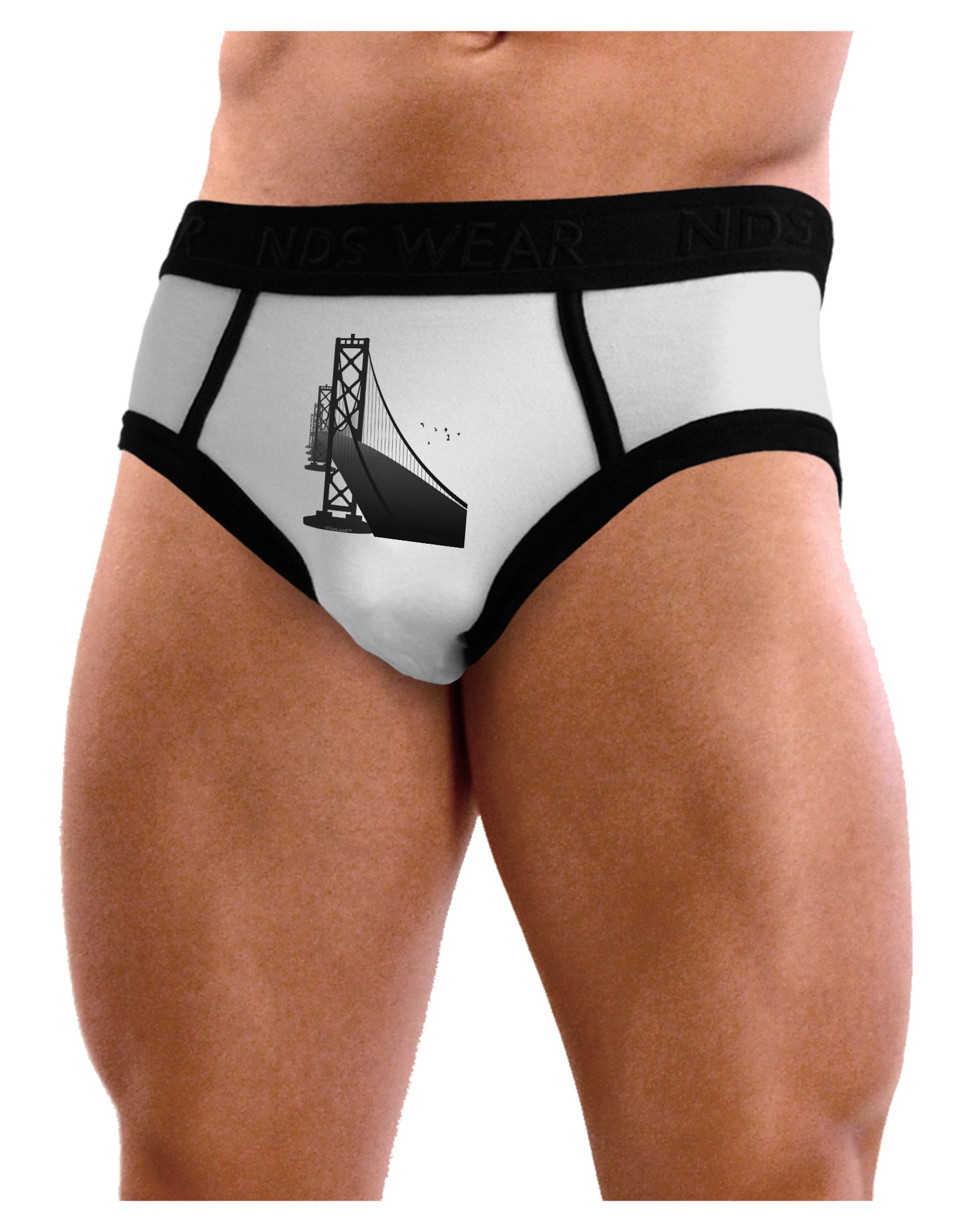 San Francisco Bay Bridge Mens NDS Wear Briefs Underwear-Mens Briefs-NDS Wear-White-Small-Davson Sales