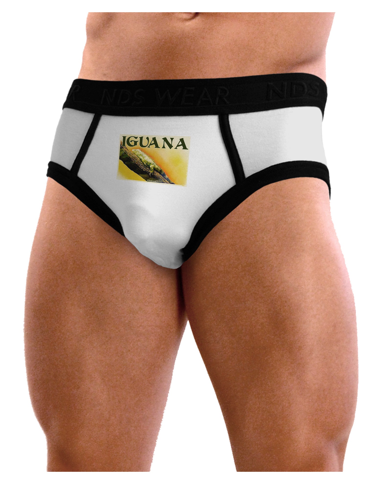 Iguana Watercolor Text Mens NDS Wear Briefs Underwear-Mens Briefs-NDS Wear-White-Small-Davson Sales