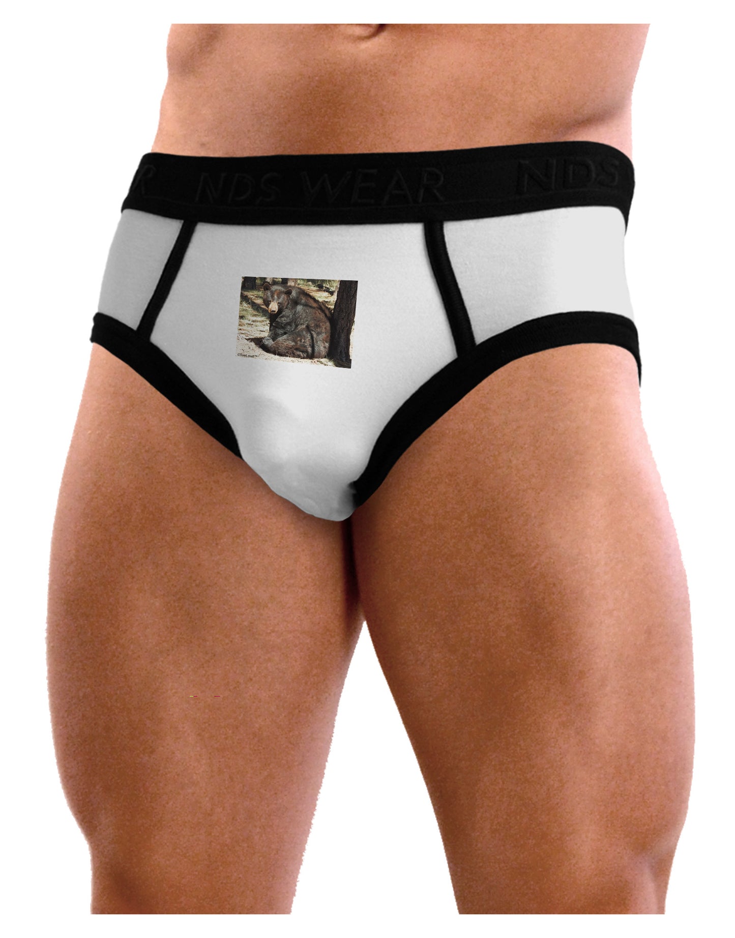 Sad Black Bear Mens NDS Wear Briefs Underwear-Mens Briefs-NDS Wear-White-Small-Davson Sales