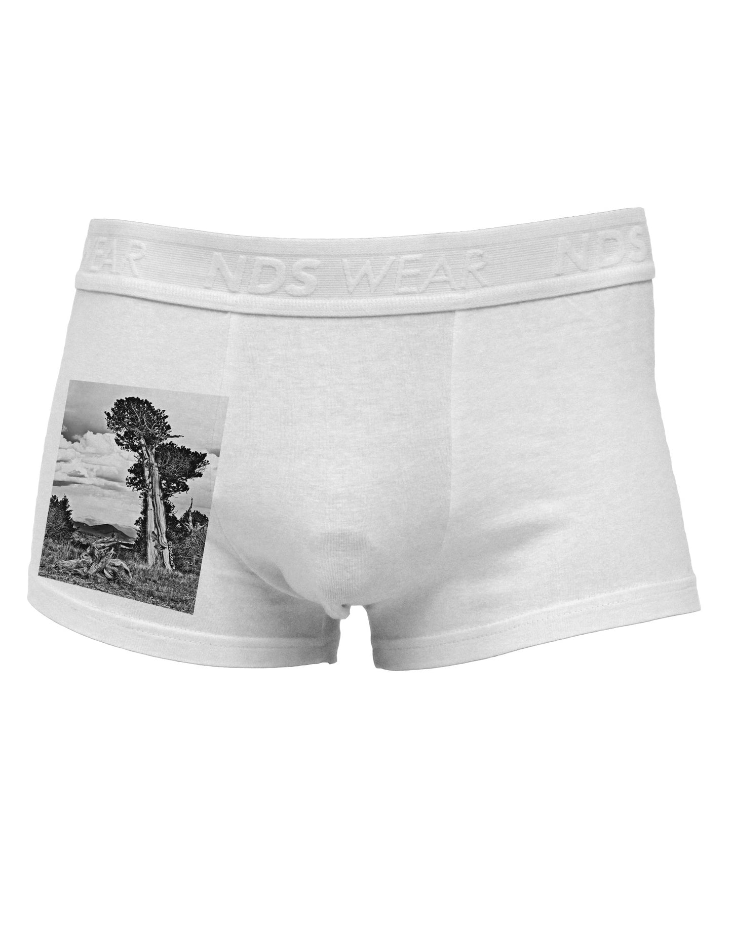 Colorado Landscape Monochrome Side Printed Mens Trunk Underwear-Mens Trunk Underwear-NDS Wear-White-Small-Davson Sales