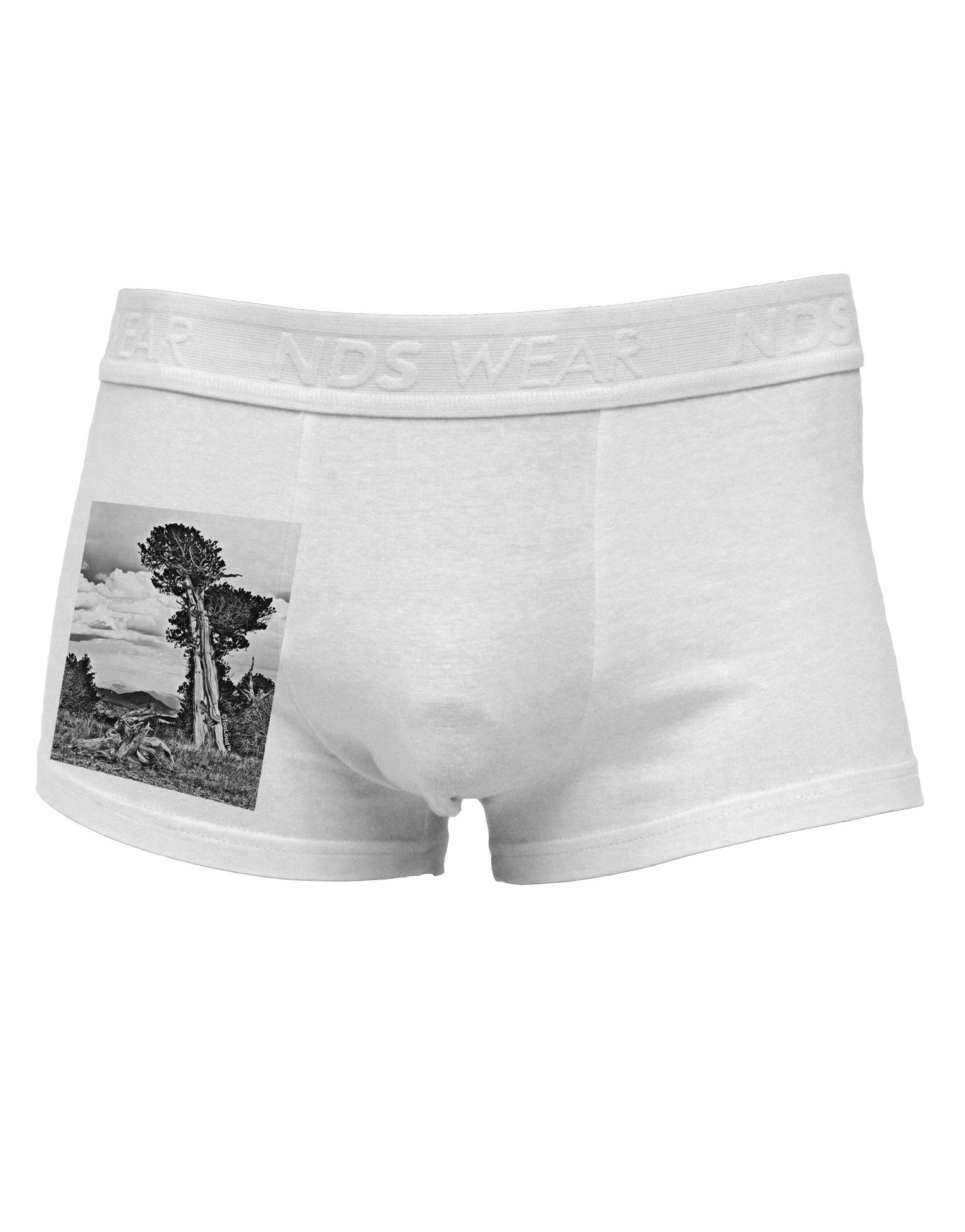 Colorado Landscape Monochrome Side Printed Mens Trunk Underwear-Mens Trunk Underwear-NDS Wear-White-Small-Davson Sales