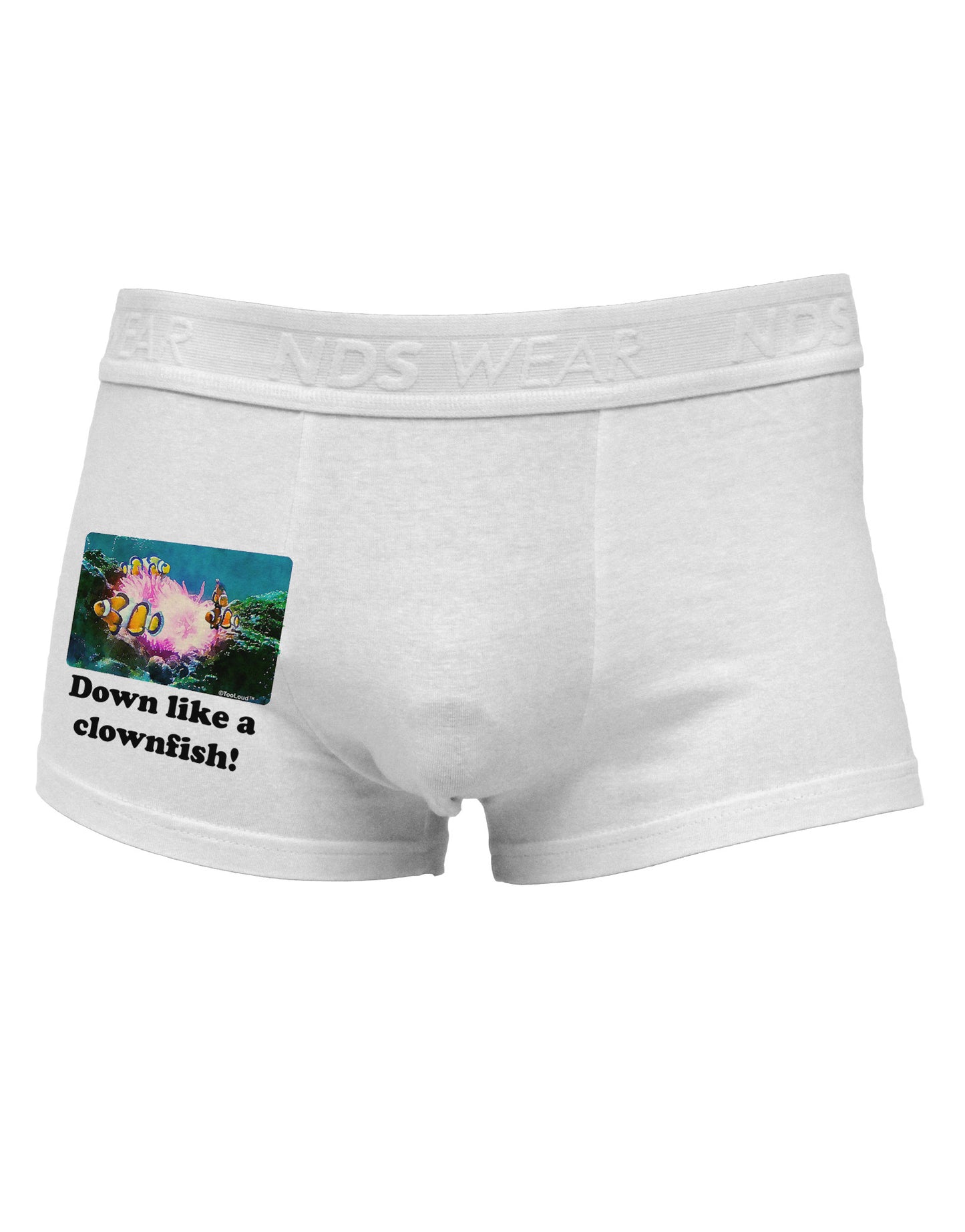 Down Like A Clownfish Side Printed Mens Trunk Underwear-Mens Trunk Underwear-NDS Wear-White-Small-Davson Sales