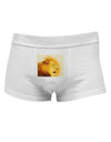 Lion Watercolor 3 Mens Cotton Trunk Underwear-Men's Trunk Underwear-NDS Wear-White-Small-Davson Sales