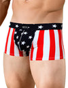 Men's USA Flag Pouch Brief Trunk America