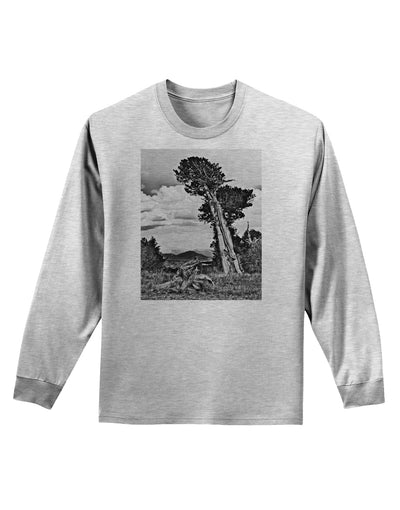 Colorado Landscape Monochrome Adult Long Sleeve Shirt-Long Sleeve Shirt-TooLoud-AshGray-Small-Davson Sales