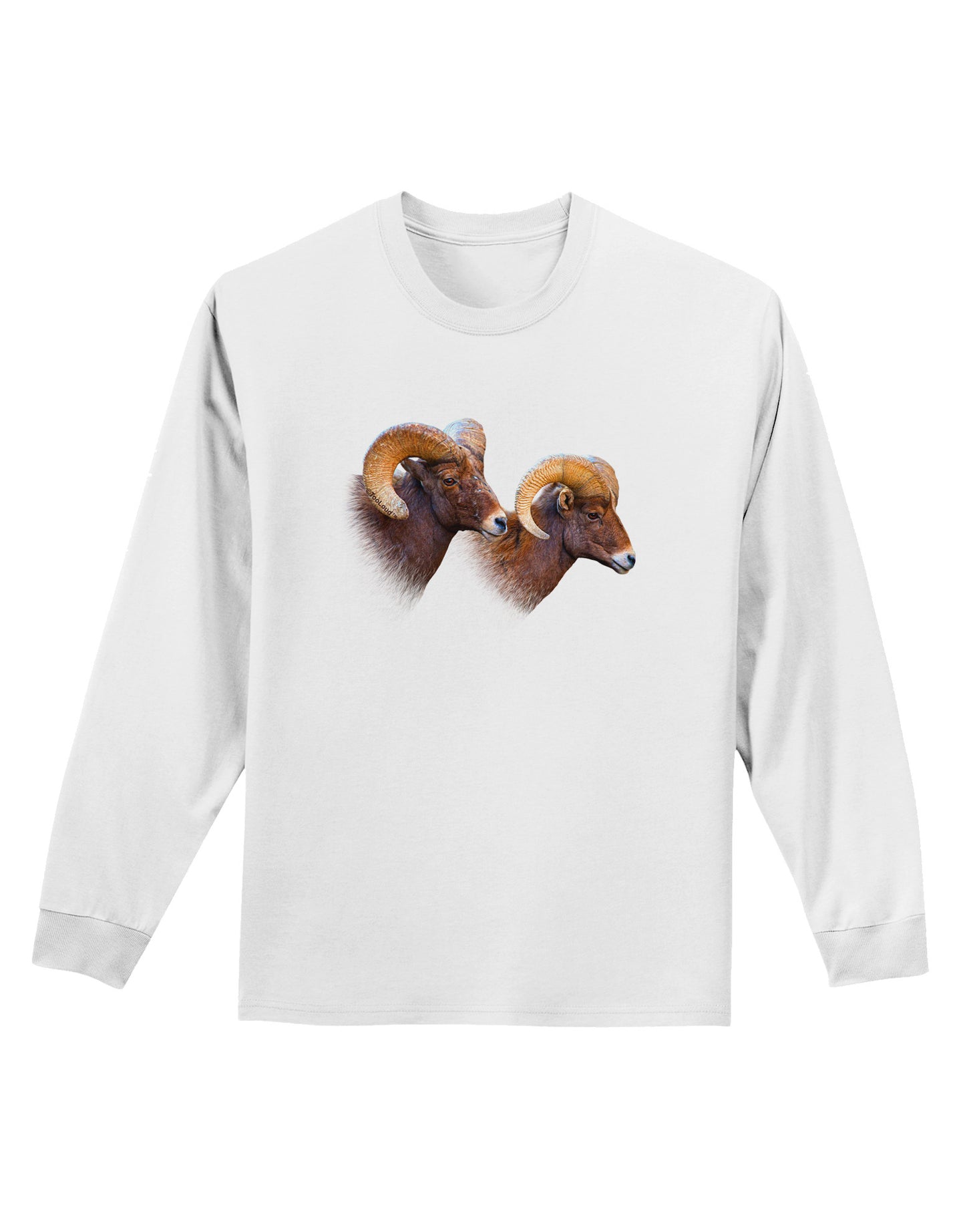 TooLoud Two Majestic Bighorn Rams Adult Long Sleeve Shirt-Long Sleeve Shirt-TooLoud-White-Small-Davson Sales
