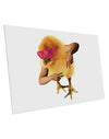 Bro Chick 10 Pack of 6x4" Postcards-Postcards-TooLoud-Davson Sales
